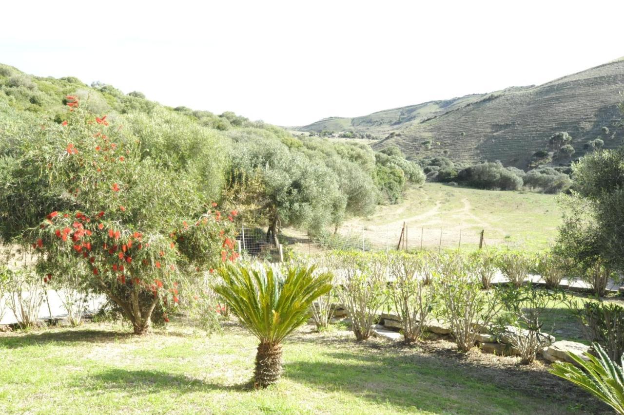 Finca La Cantarera Tarifa Eksteriør billede
